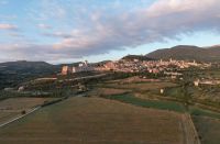 Assisi (686)