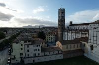 Lucca (383)