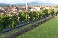Lucca (442)