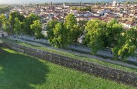 Lucca (443)